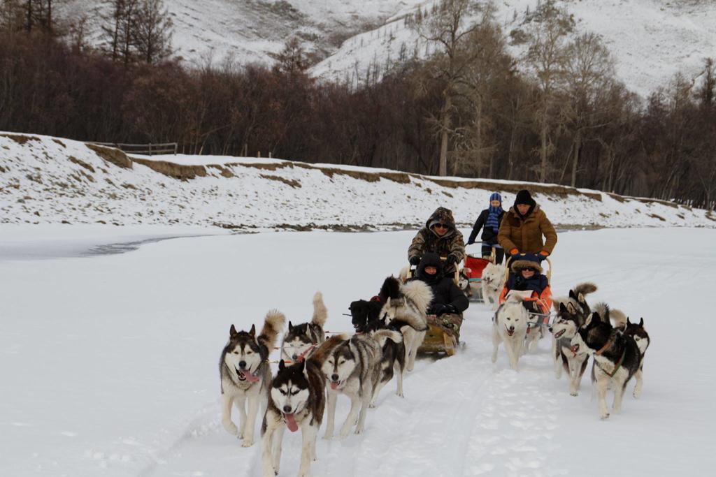 Top Tour & Guesthouse Mongolia Ulan Batur Dış mekan fotoğraf
