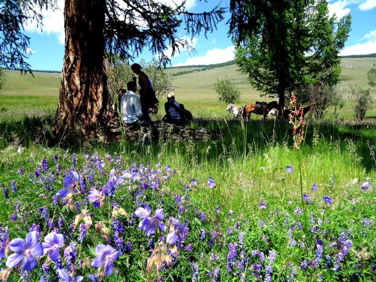 Top Tour & Guesthouse Mongolia Ulan Batur Dış mekan fotoğraf
